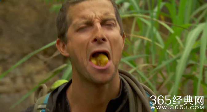 跟着贝尔去冒险贝爷首次受罚