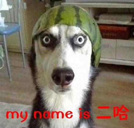 新闻哥：论负负得正的原理！2015.12.07