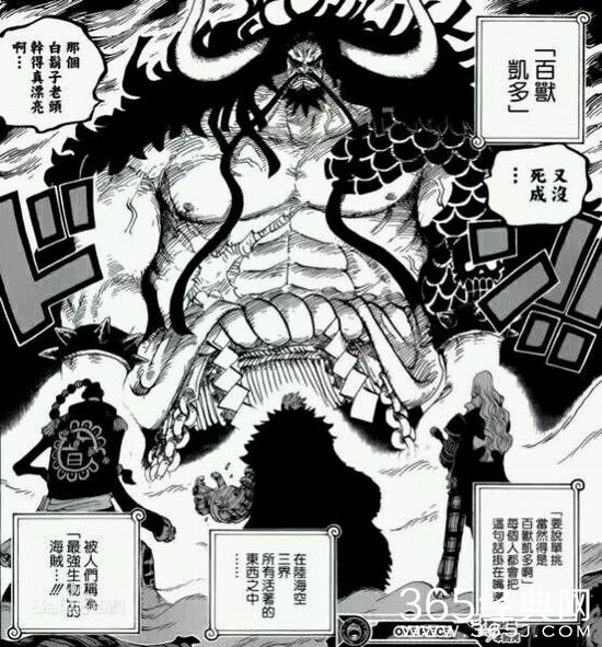 海贼王凯多海贼团不为人知秘密哪些