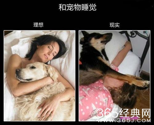 新闻哥：你们有这么犀利的丈母娘吗？2015.012.08