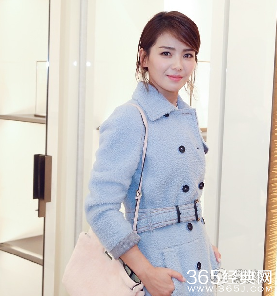 刘涛丹麦被盗400万是怎么回事