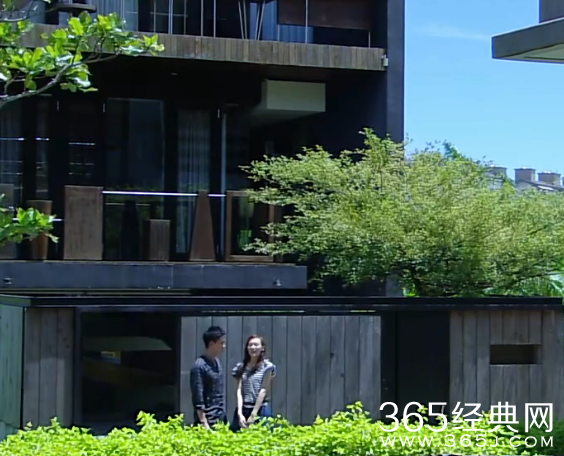 长在面包树上的女人第9集剧情介绍