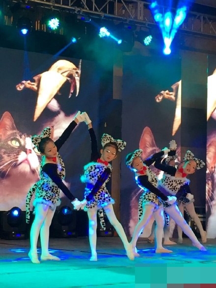 贝儿变身长腿喵星人 鲍蕾晒女儿表演照