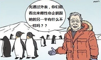 新闻哥：不喜欢和男友湿吻的女朋友！2015.12.09