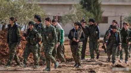 新闻哥：有缘千里来对骂！2015.12.10