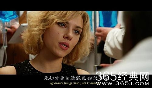 新闻哥：有缘千里来对骂！2015.12.10