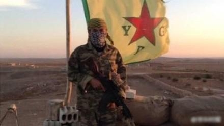 新闻哥：有缘千里来对骂！2015.12.10