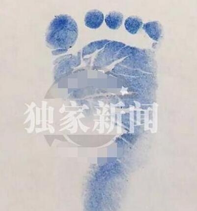 欧弟女儿JoJo正面照 欧弟敏感身份是什么意思