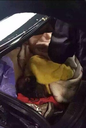 浙C8XB67车主信息资料照片 浙江女模特尸体被发现现场照