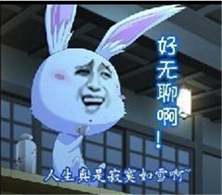 新闻哥：有缘千里来对骂！2015.12.10