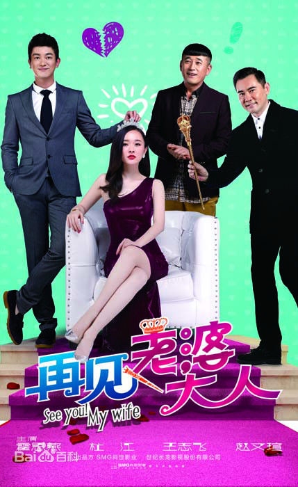 再见老婆大人什么时候开播