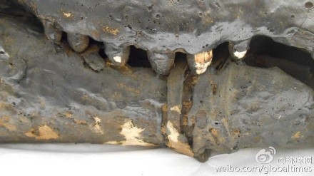 埃及寺庙发现一具鳄鱼木乃伊距今2500年