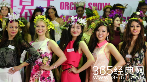 世界小姐总决赛什么时候举行