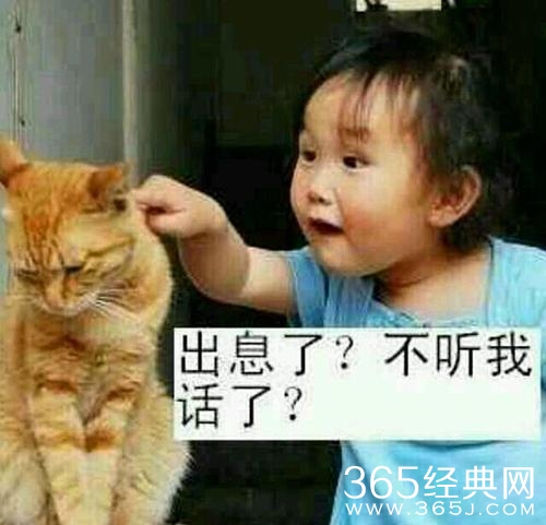 新闻哥：谈恋爱关系太复杂！2015.12.14