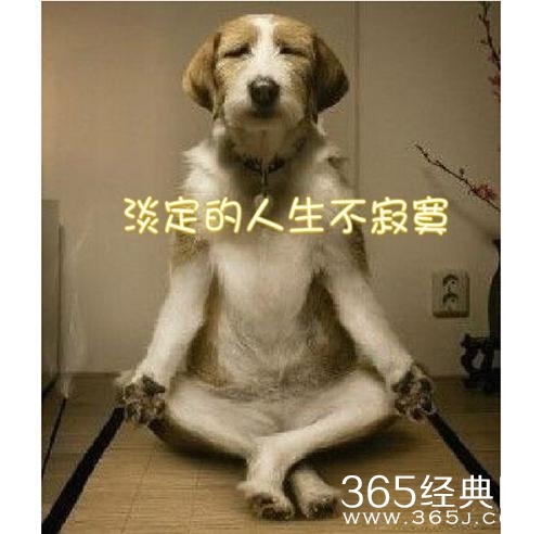 新闻哥：谈恋爱关系太复杂！2015.12.14