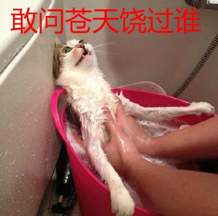 新闻哥：你们坦诚恋爱史吗？2015.12.15