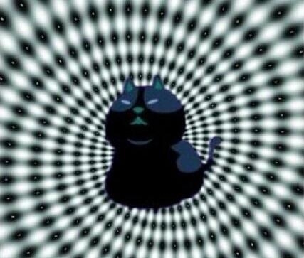 都在疯转的一只喵是什么意思