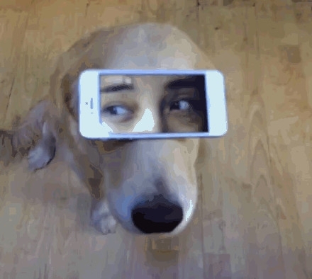 爆笑笑话笑死人不偿命第八季