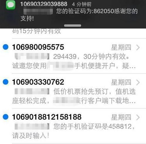 新闻哥：世界杯喵星人占领了！2015.12.17