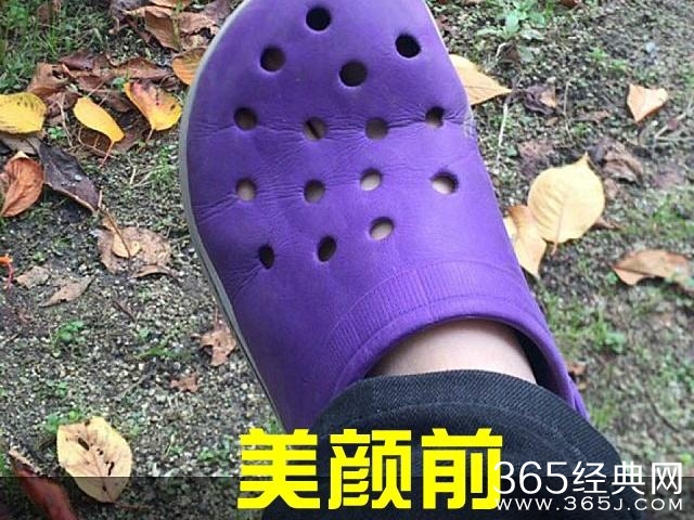 新闻哥：世界杯喵星人占领了！2015.12.17