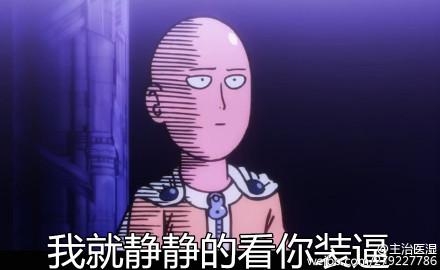 新闻哥：世界杯喵星人占领了！2015.12.17