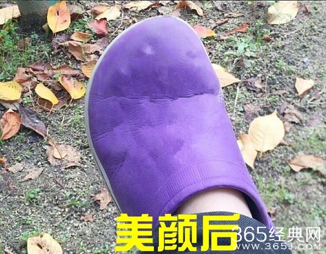 新闻哥：世界杯喵星人占领了！2015.12.17