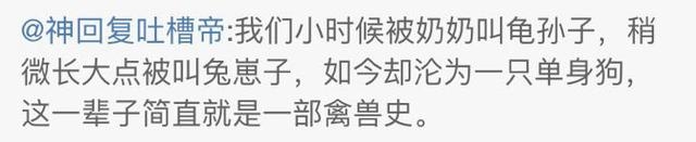 新闻哥：世界杯喵星人占领了！2015.12.17