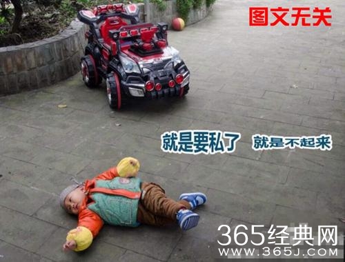 新闻哥：世界杯喵星人占领了！2015.12.17