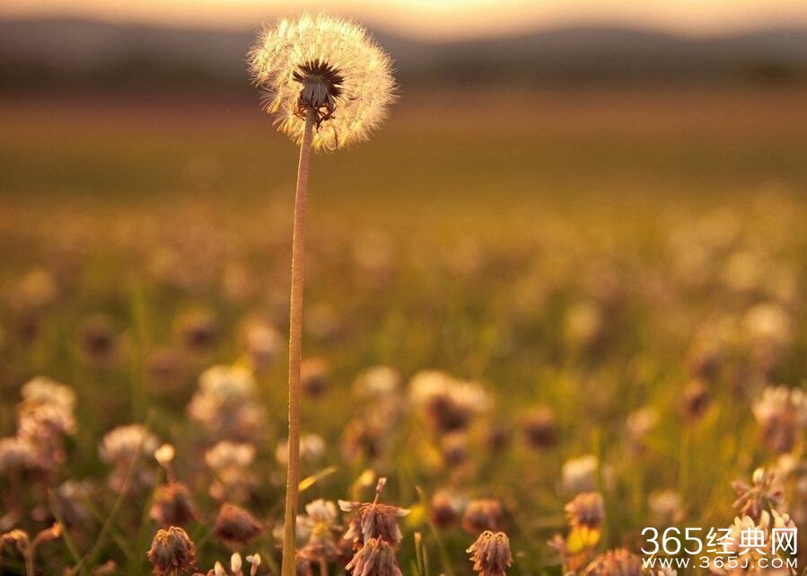 不断努力，才能配得上更好的明天