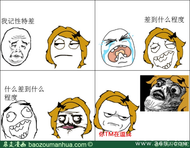 新闻哥：世界杯喵星人占领了！2015.12.17