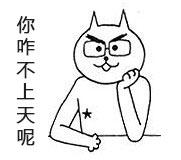 新闻哥：世界杯喵星人占领了！2015.12.17