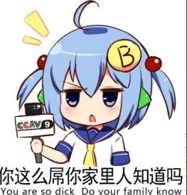 新闻哥：世界杯喵星人占领了！2015.12.17