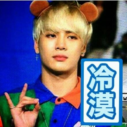 新闻哥：世界杯喵星人占领了！2015.12.17