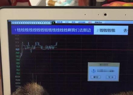 新闻哥：世界杯喵星人占领了！2015.12.17