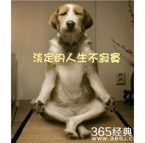 爆笑笑话笑死人不偿命第十一季