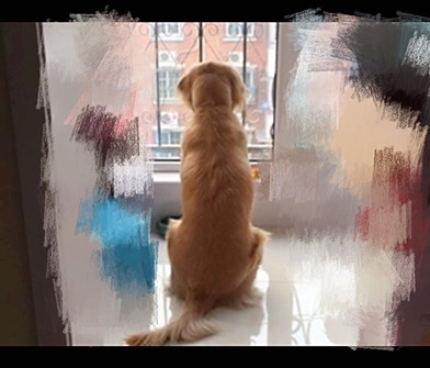 新闻哥：这是个看脸的时代！2015.12.21