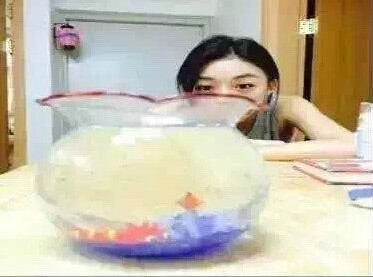 新闻哥：这是个看脸的时代！2015.12.21