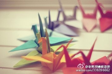 早安心语：选择与你步伐一致的人同行，如果没有，那就一个人。2015.12.22