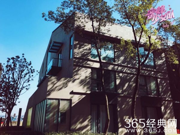 蜜蜂少女队各成员资料介绍