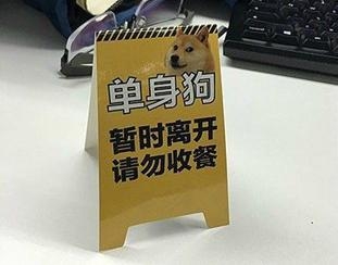 新闻哥：学习不好的五大原因！2015.12.22