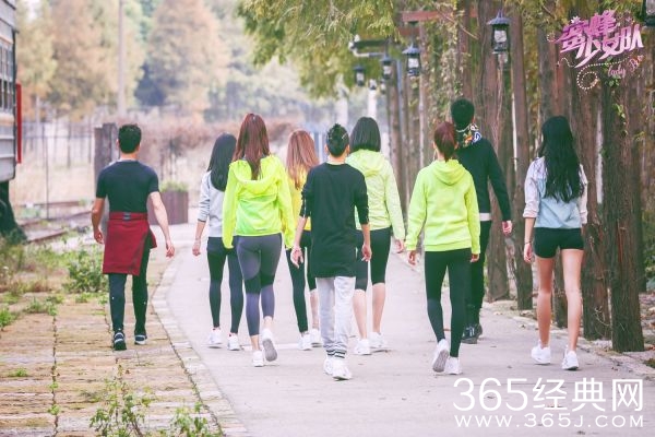 蜜蜂少女队各成员资料介绍