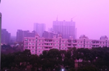 新闻哥：有人要出钱包养我！2015.12.23