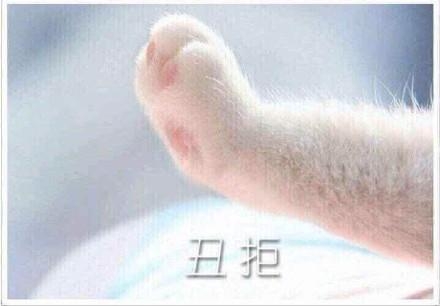 新闻哥：不要和大卡车争道！2015.12.24