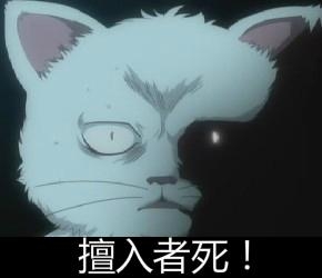 新闻哥：不要和大卡车争道！2015.12.24