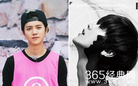 韩国SM公司起诉鹿晗侵权审判结果