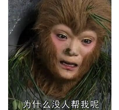 新闻哥：我们有缘再相见吧！2015.12.25