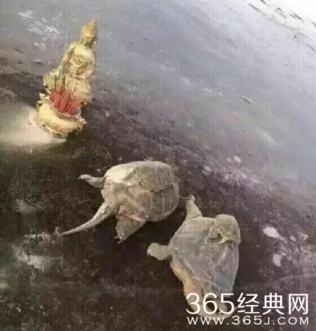 新闻哥：哥要重返十八岁！2015.12.28