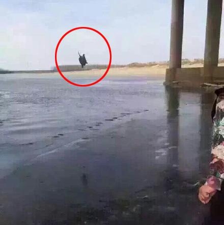 新闻哥：哥要重返十八岁！2015.12.28