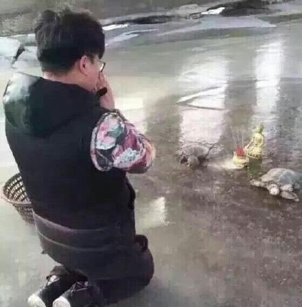 新闻哥：哥要重返十八岁！2015.12.28