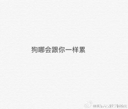 新闻哥：老爸给儿子带绿帽子！2015.12.29